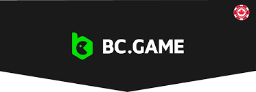 استمتع بتجربة كازينو BC GAME الفريدة