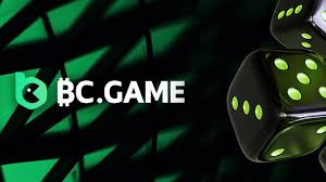 A Comprehensive Guide to BC.Game Payments