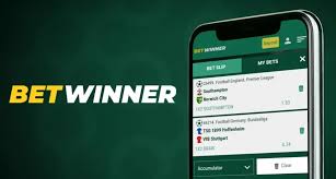 BetWinner Bonus Guide Unlocking the Best Bonuses for You