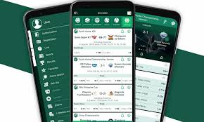 BetWinner Senegal Your Ultimate Betting Experience